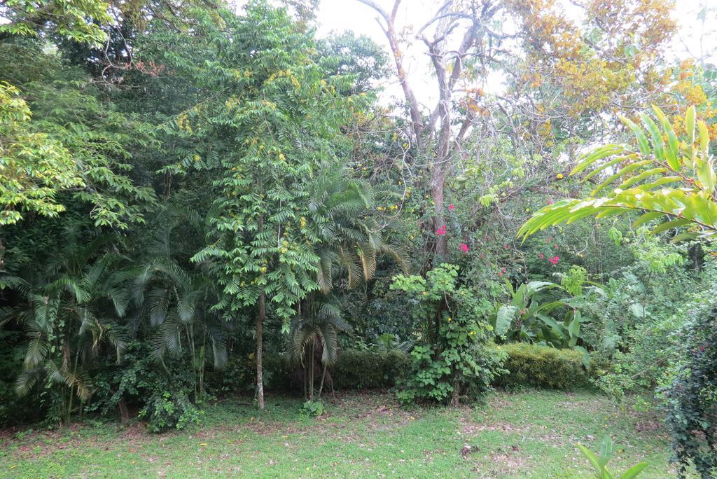 Ferienwohnung Apartamento Karibu Nationalpark Nationalpark Manuel Antonio Zimmer foto