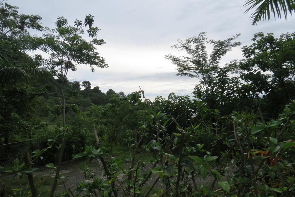 Apartamento Karibu Nationalpark Nationalpark Manuel Antonio Zimmer foto